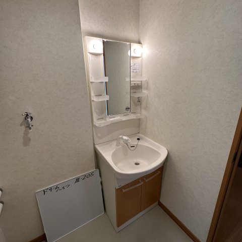 ドリームハイツⅢの洗面所