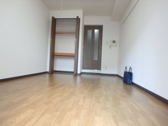 ドミール元住吉の洋室