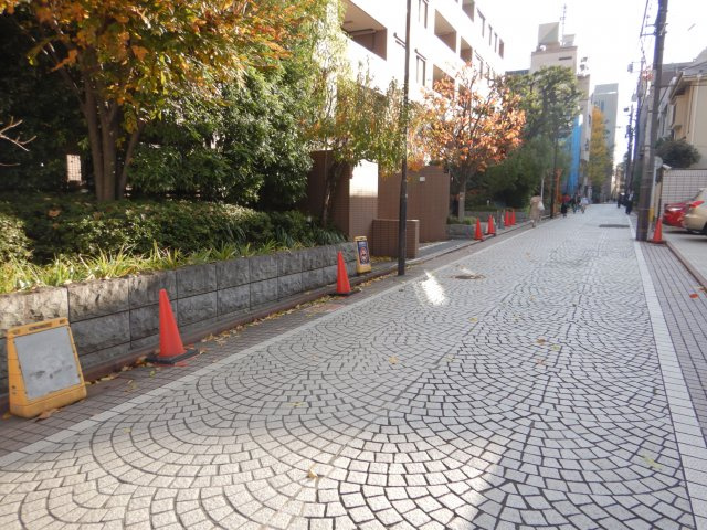 ライオンズガーデン四谷津の守坂の周辺
