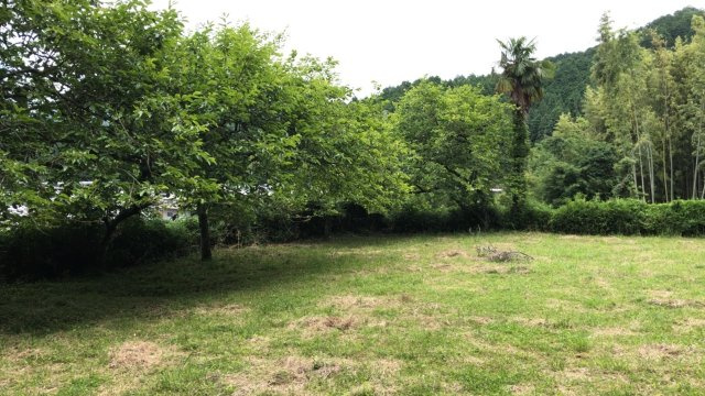 挙田竹下・蓬莱さん土地