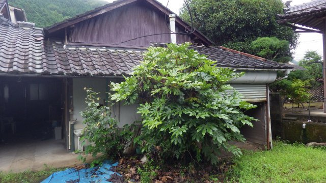 得平住宅の庭|お庭で自由な時間を過ごせます