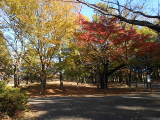 公園