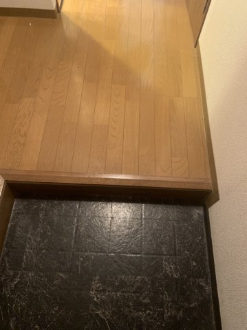 グランエクセル 和泉の玄関|落ち着いた玄関です