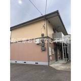 エクセーラ楠の画像