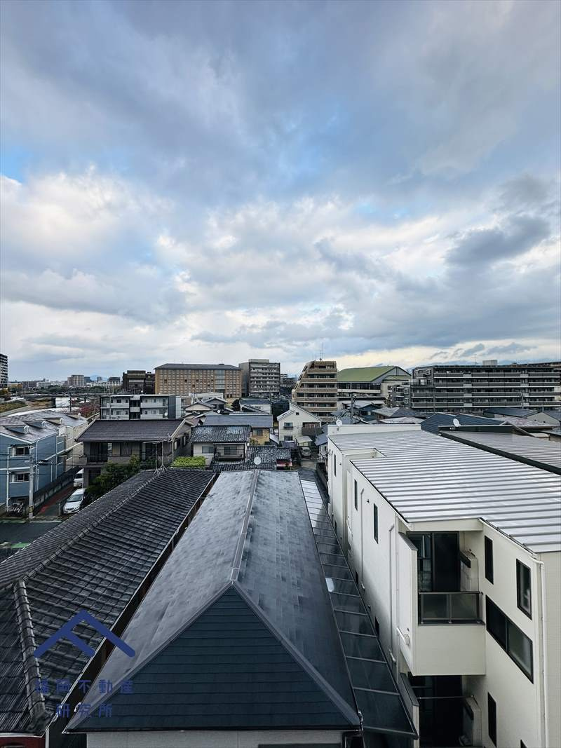 グリーンマンション大橋の展望