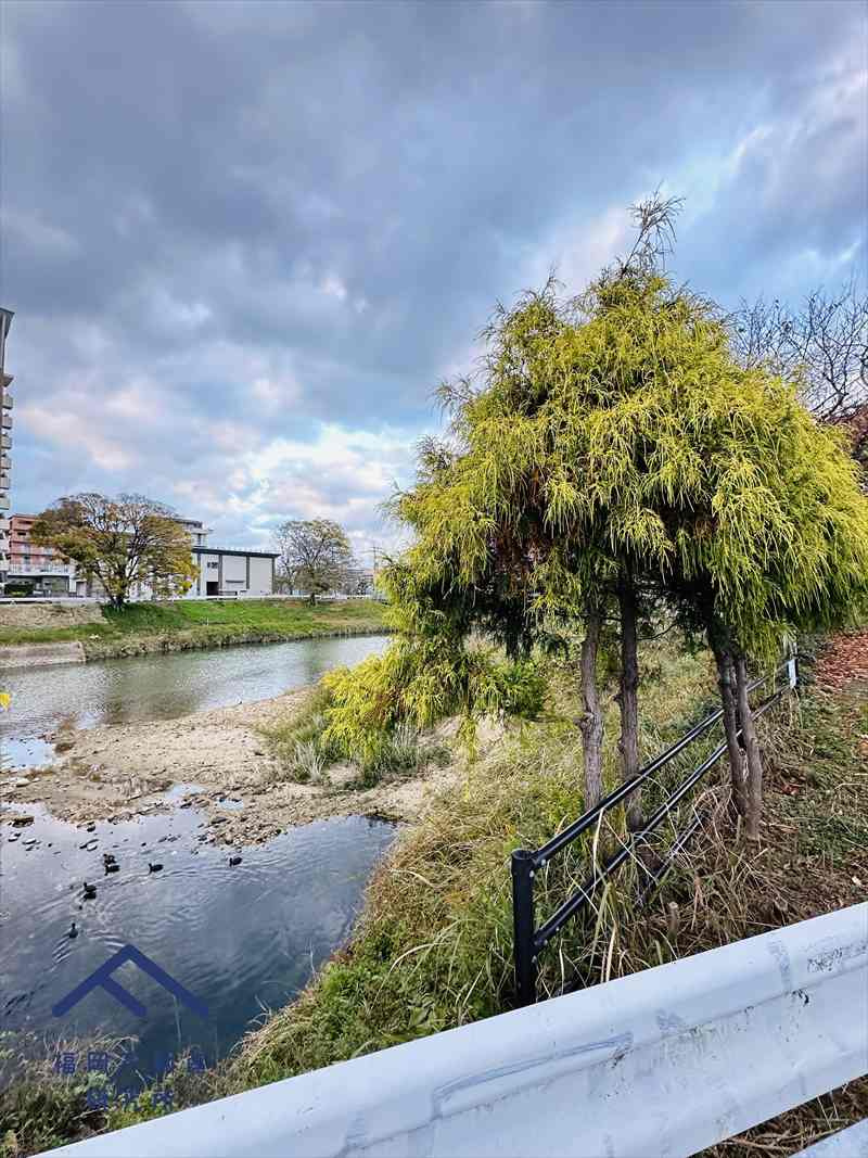 グリーンマンション大橋の展望