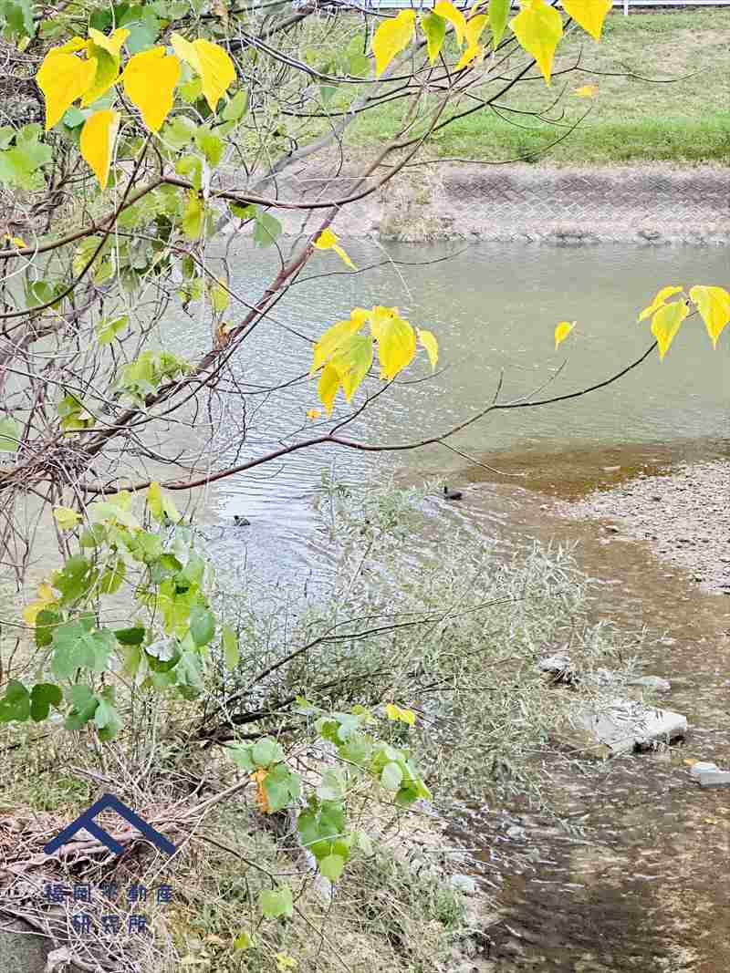 グリーンマンション大橋の周辺