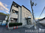 アンバーの画像