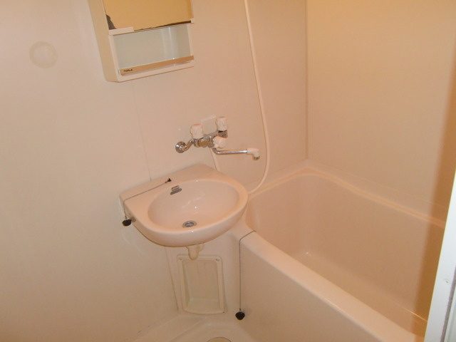 シティライフつかさⅤの浴室