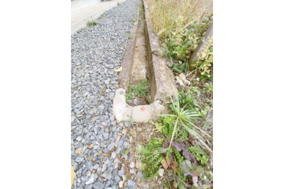 【その他】 | 丹波市青垣町佐治