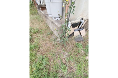 【その他】 | 丹波市青垣町佐治