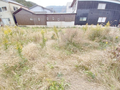 【外観】 | 丹波市青垣町佐治 | 西側