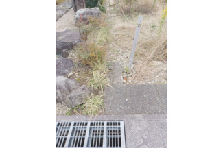 【その他】 | 丹波市青垣町佐治