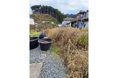 【その他】 | 丹波市青垣町佐治