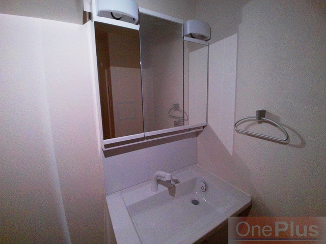 パレス東洋神戸６号館の洗面所