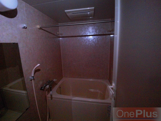 パレス東洋神戸６号館の浴室