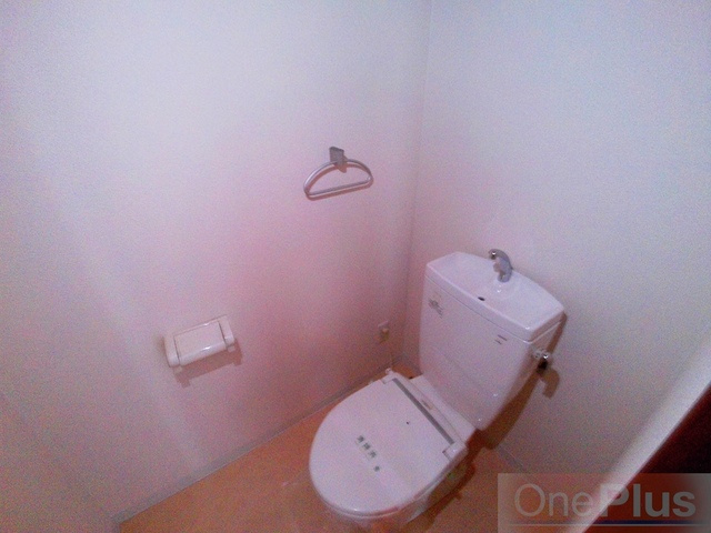 パレス東洋神戸６号館のトイレ