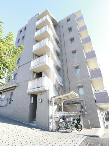 Air Sriusuの外観