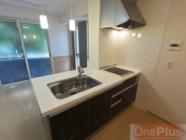 摂州打出住のキッチン