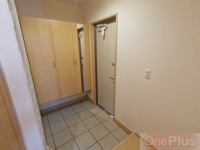 摂州打出住の玄関