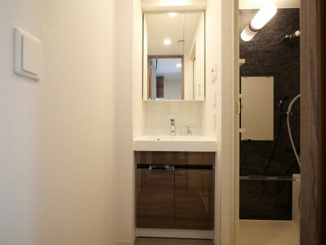 ルネフラッツ谷町四丁目の独立洗面台