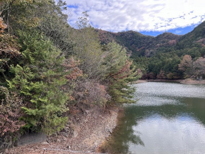 【周辺】 | 多可町八千代区下野間　山林1