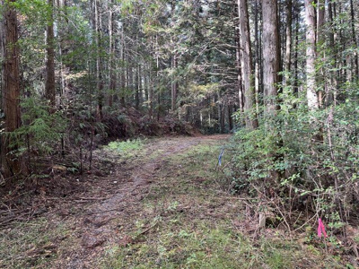 【周辺】 | 多可町八千代区下野間　山林1