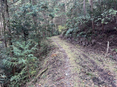 【周辺】 | 多可町八千代区下野間　山林1