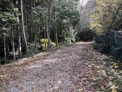 【周辺】 | 多可町八千代区下野間　山林1