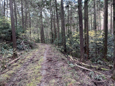 【周辺】 | 多可町八千代区下野間　山林1