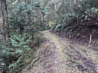 【周辺】 | 多可町八千代区下野間　山林1