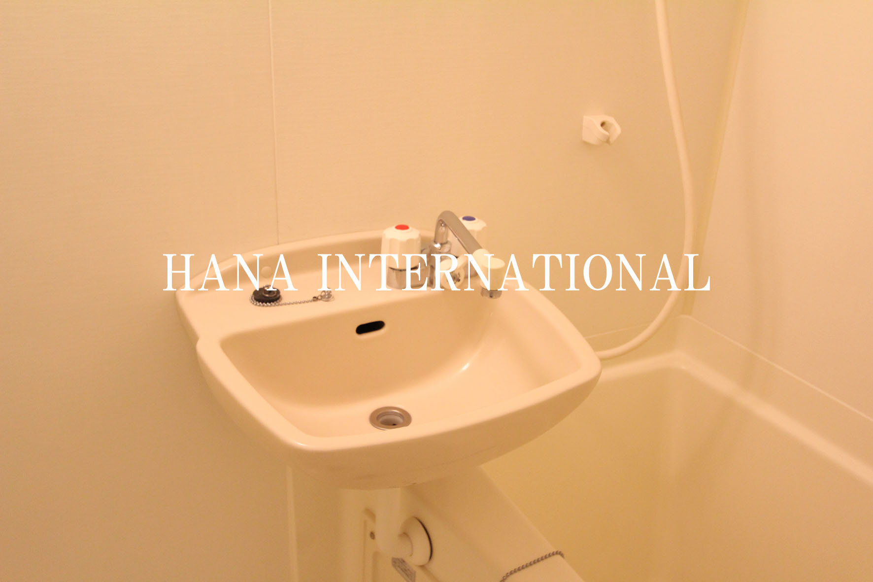 ＲＡＶＥの洗面所