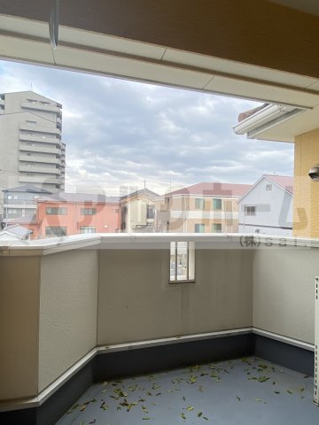 ブラッセルの展望