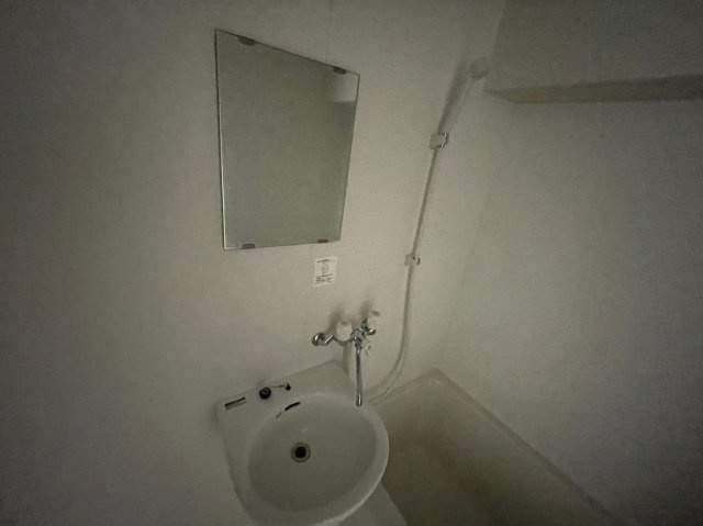 リバーサイドオオハシの洗面所