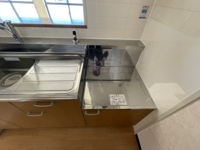 エリム摩耶のその他