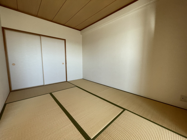 エリム摩耶のその他