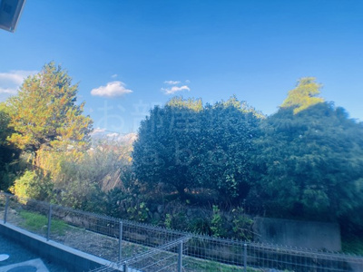 【展望】 | フローラすみれ