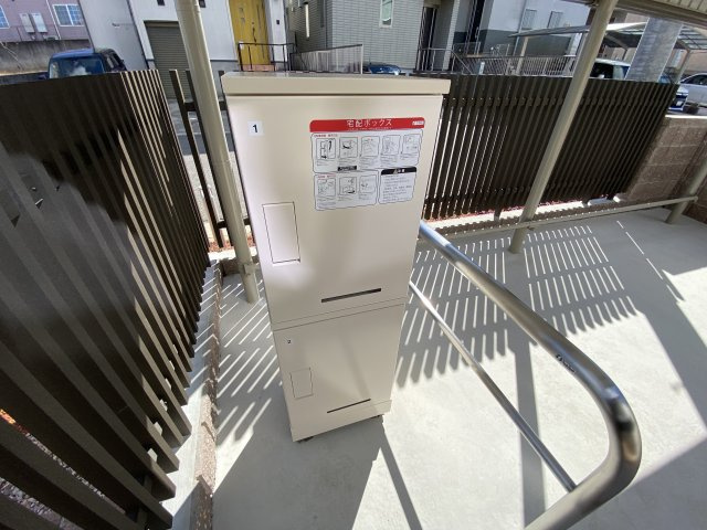 コリナ　ノルテのその他