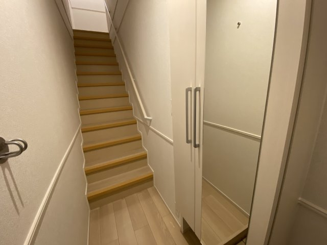 コリナ　ノルテのその他