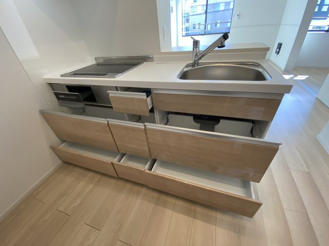 コリナ　ノルテのその他