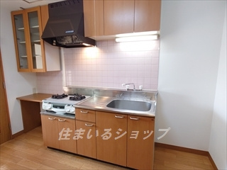 広島市安佐北区落合南２丁目の賃貸マンションのキッチン