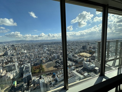 【展望】 | リバーガーデンタワー上町台筆ヶ崎