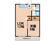 ラビットハウスの画像