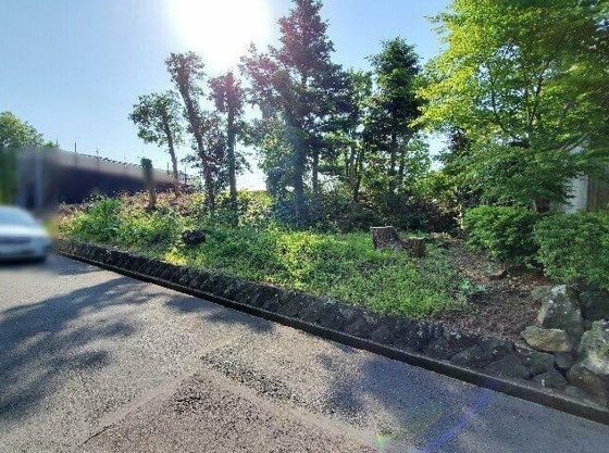 【外観】 | 伊豆急伊豆高原　売地 | 掲載内容と現況が相違する場合は現況優先と致します。