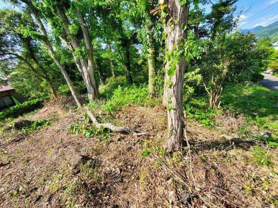 【外観】 | 伊豆急伊豆高原　売地