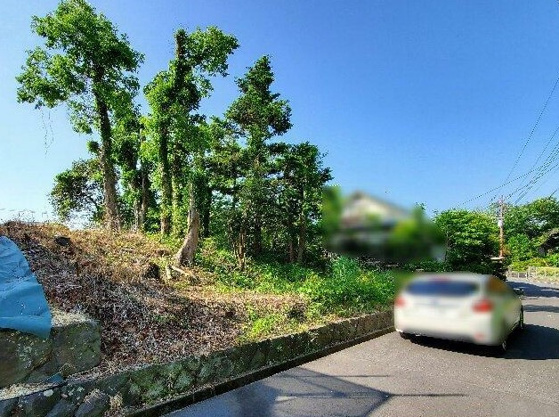 【前面道路含む現地写真】 | 伊豆急伊豆高原　売地