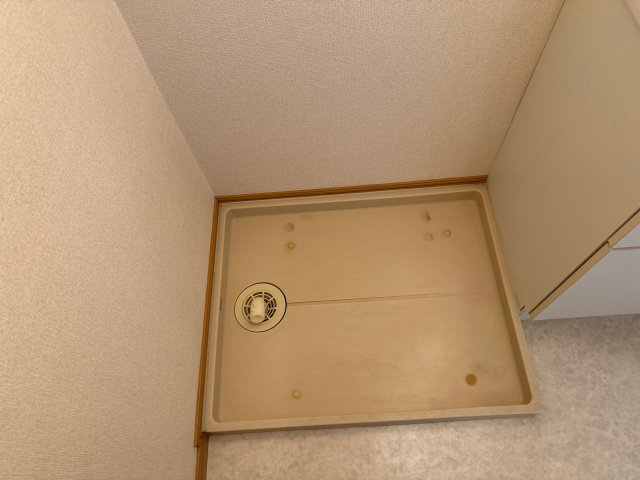 ティエラ・アサヒのその他