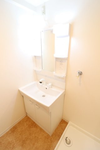 マンションフォルツーナの洗面所