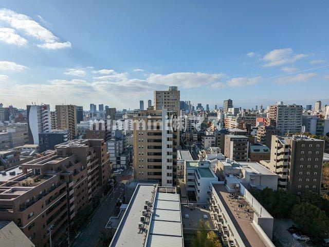 エスリード ザ・グラン上本町の展望