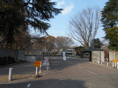 大学